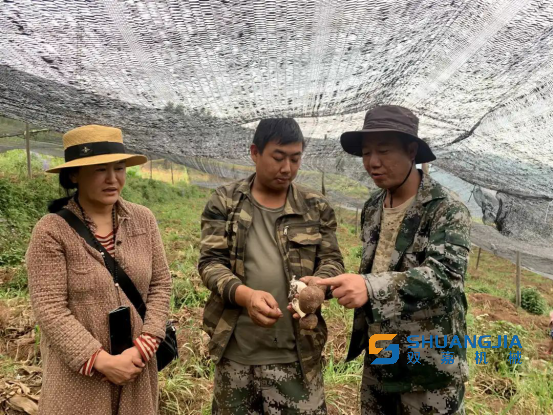 1650936652125758.png 10-59-06-98-283825.png