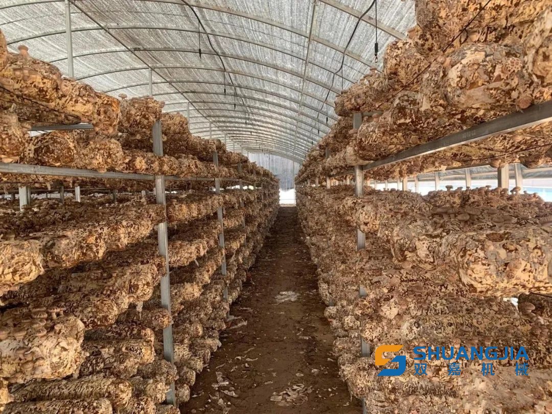 1651110229553734.jpg 08-45-10-82-283825.jpg