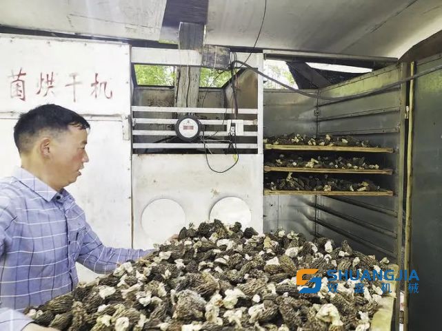 1652232995658642.jpg 16-16-51-60-283825.jpg