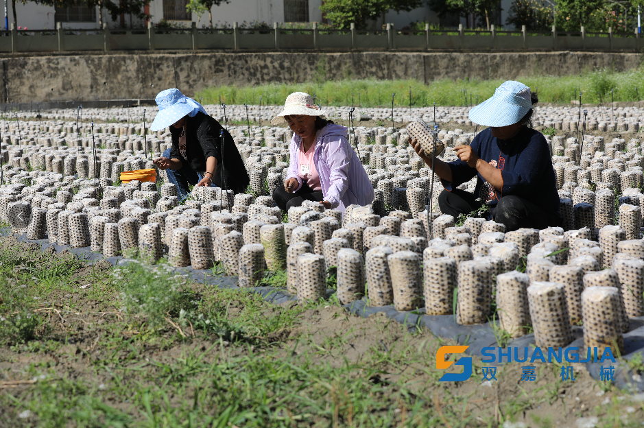 1652492548290021.png 15-47-12-70-283825.png