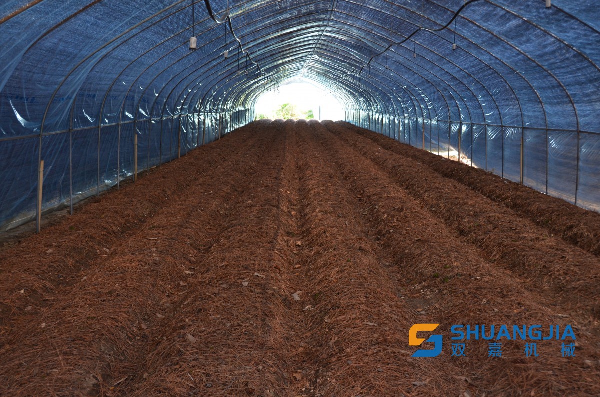 1652923807356672.jpg 17-10-03-65-283825.jpg