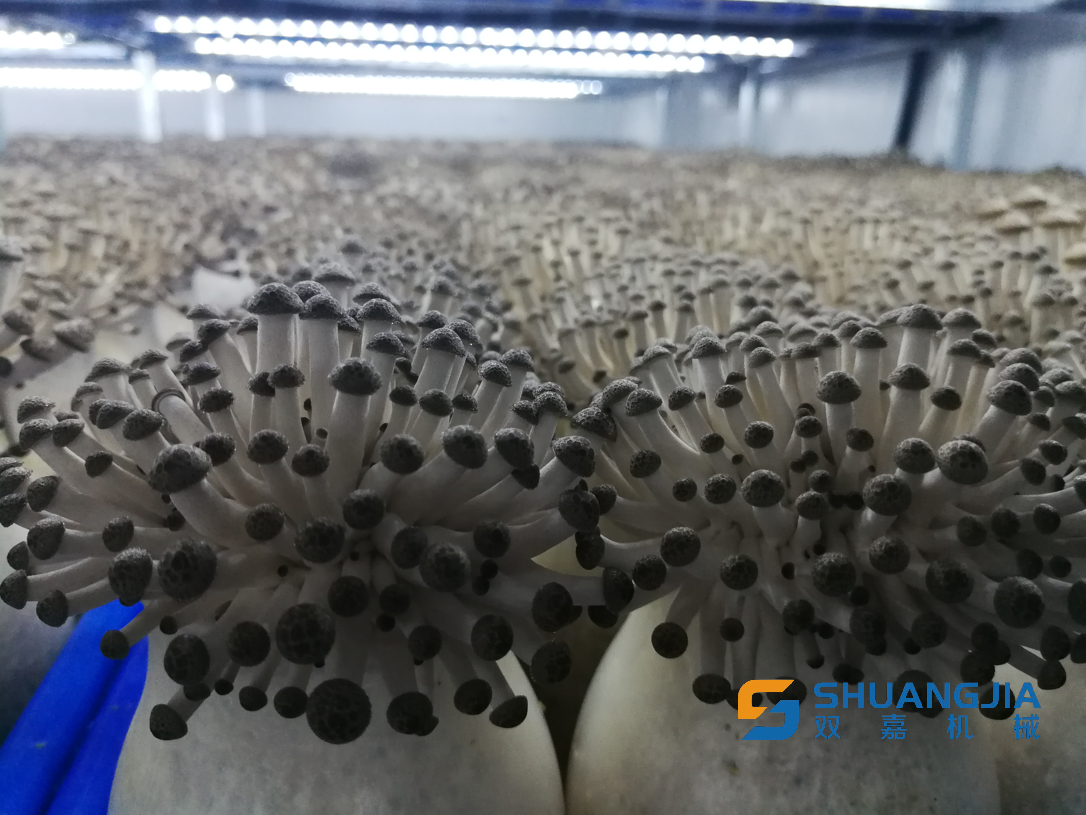 1655083628508298.png 12-19-57-61-283825.png