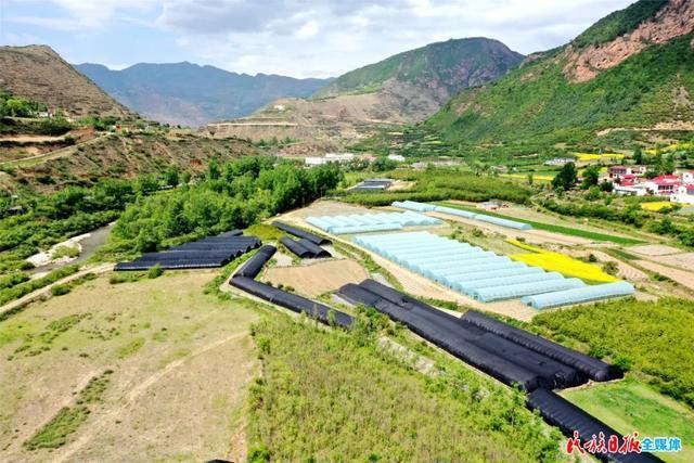 1655258024117868.jpeg 16-18-02-21-283825.jpeg