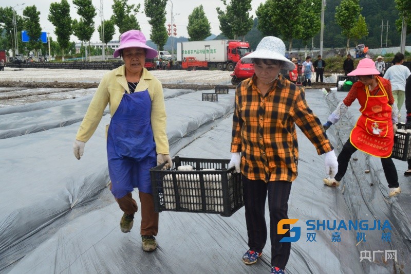 1656466634891282.jpg 14-49-30-27-283825.jpg