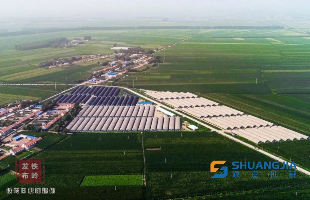 1656814411113720.jpg 22-38-09-79-283825.jpg