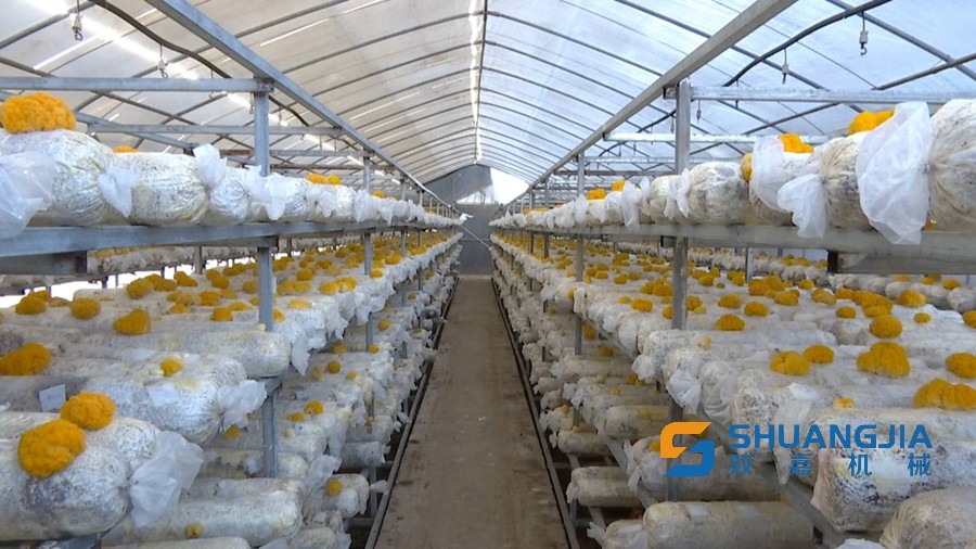 1661050165123254.jpg 21-21-27-83-283825.jpg