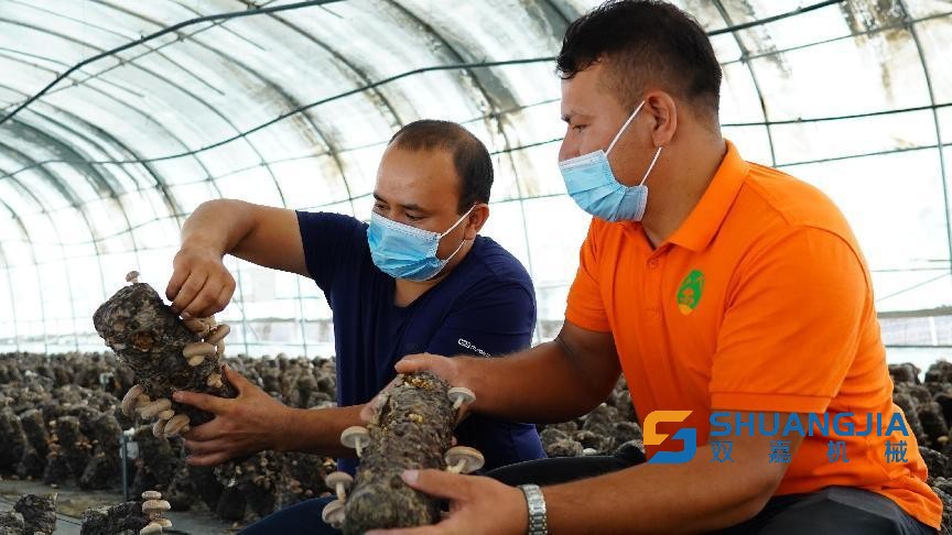 1661234230139658.jpg 09-34-09-98-283825.jpg