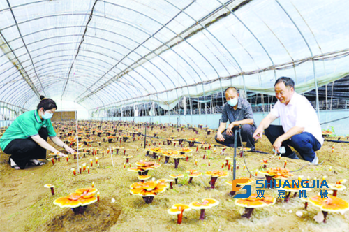 1663680990130870.png 1663149250371550.png