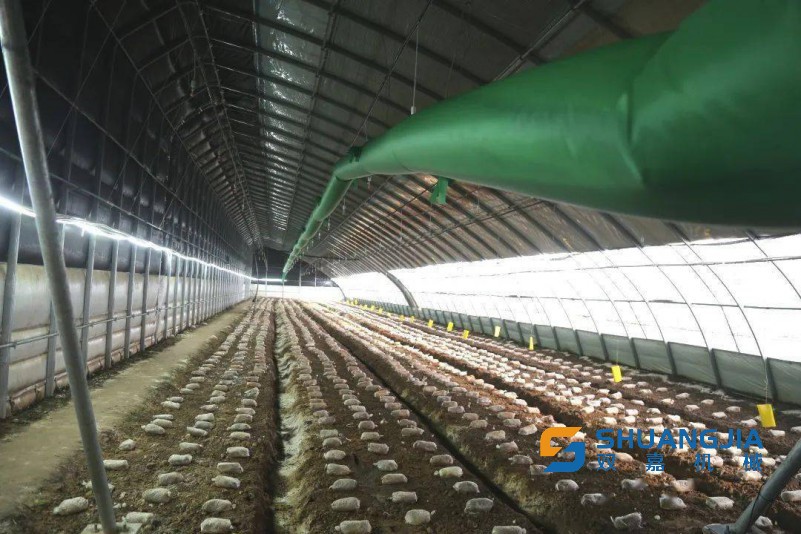 1674482853139331.jpg 21-47-54-50-281170.jpg