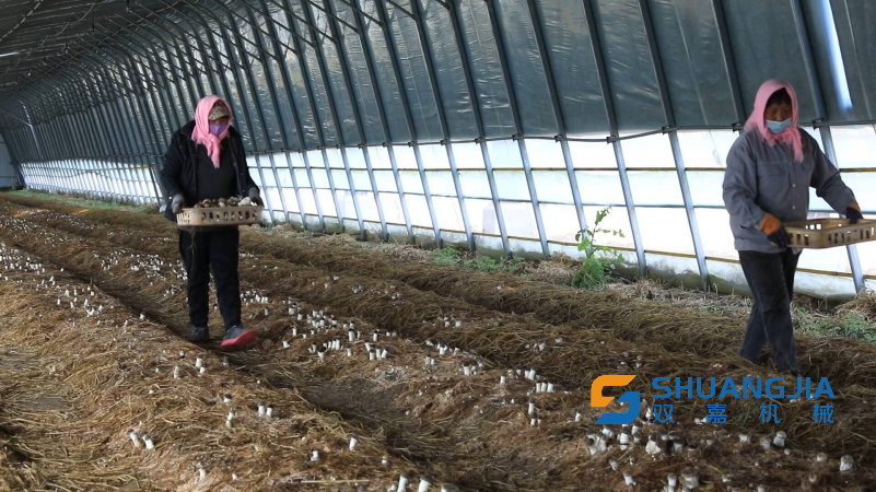 1681447835120184.png 10-28-49-58-451102.png