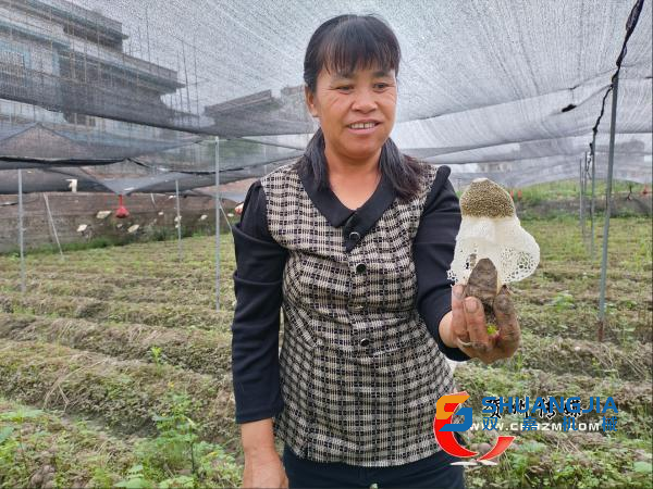 1685154679750275.png 09-48-07-38-451102.png