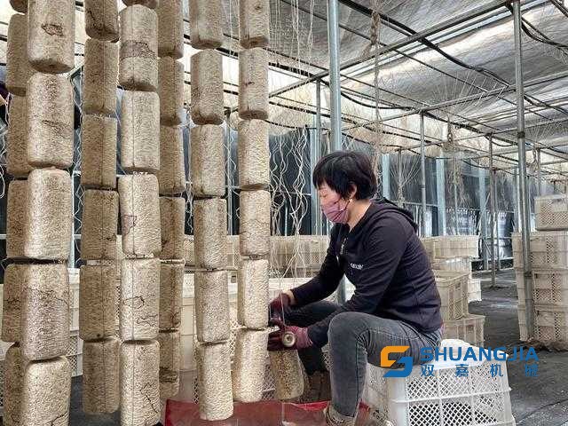 1685953962169755.jpg 09-53-39-88-283825.jpg